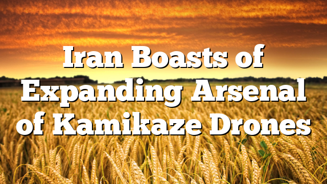 Iran Boasts of Expanding Arsenal of Kamikaze Drones
