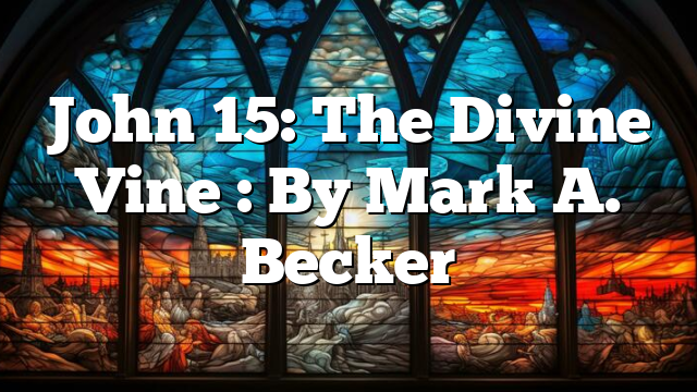 John 15: The Divine Vine : By Mark A. Becker
