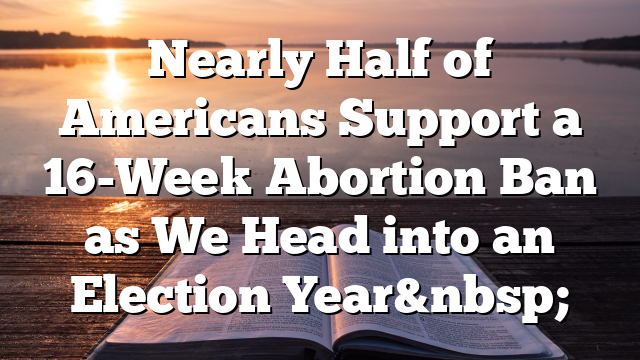Nearly Half of Americans Support a 16-Week Abortion Ban as We Head into an Election Year&nbsp;
