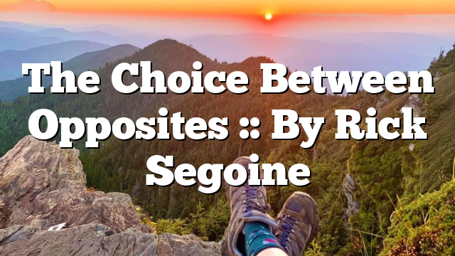 The Choice Between Opposites :: By Rick Segoine