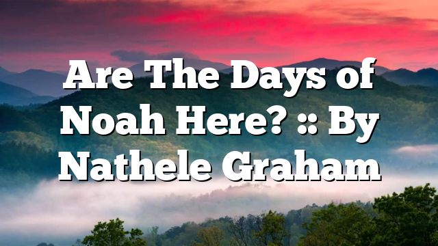 Are The Days of Noah Here? :: By Nathele Graham