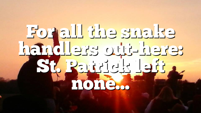 For all the snake handlers out-here: St. Patrick left none…