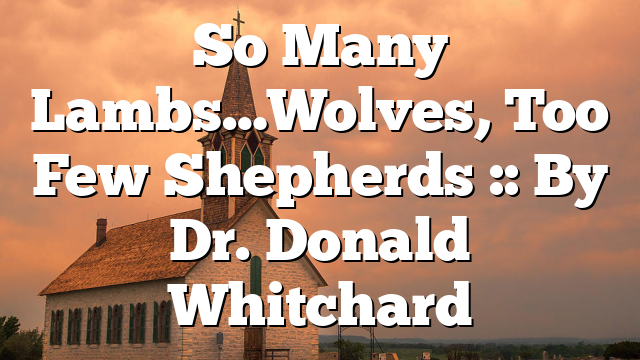 So Many Lambs…Wolves, Too Few Shepherds :: By Dr. Donald Whitchard
