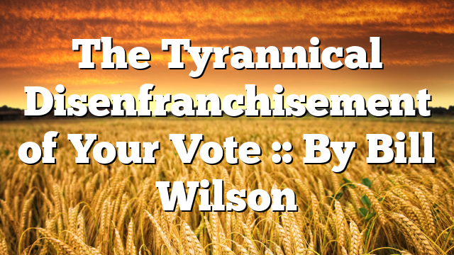The Tyrannical Disenfranchisement of Your Vote :: By Bill Wilson