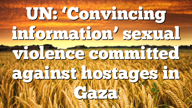 UN: ‘Convincing information’ sexual violence committed against hostages in Gaza