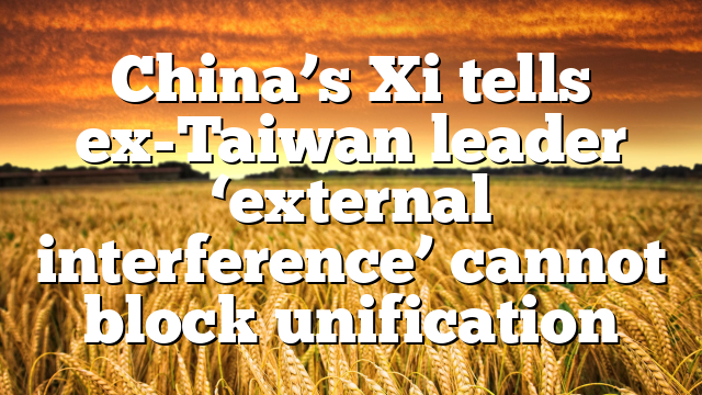 China’s Xi tells ex-Taiwan leader ‘external interference’ cannot block unification