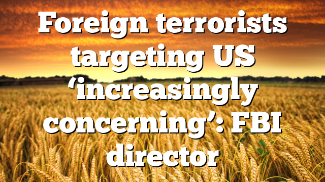 Foreign terrorists targeting US ‘increasingly concerning’: FBI director