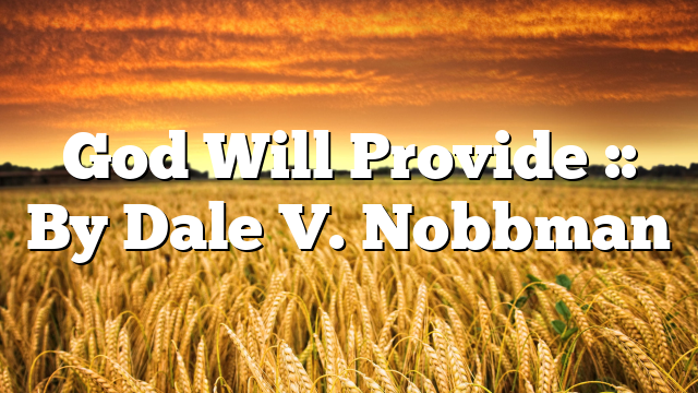 God Will Provide :: By Dale V. Nobbman