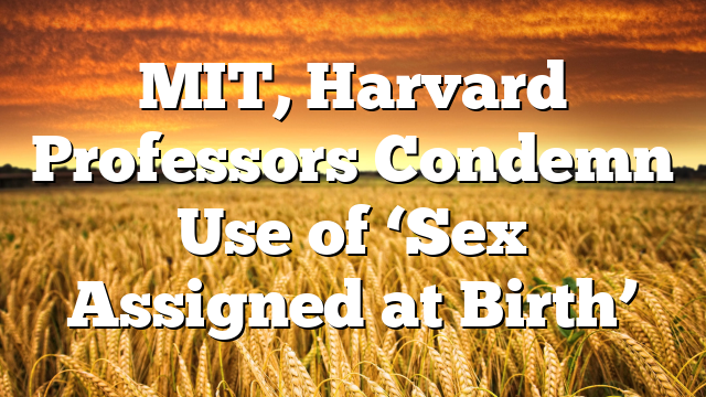 MIT, Harvard Professors Condemn Use of ‘Sex Assigned at Birth’