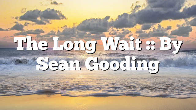 The Long Wait :: By Sean Gooding