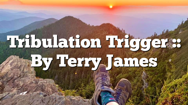Tribulation Trigger :: By Terry James