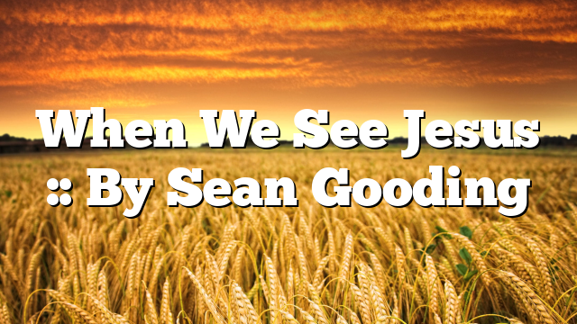 When We See Jesus :: By Sean Gooding