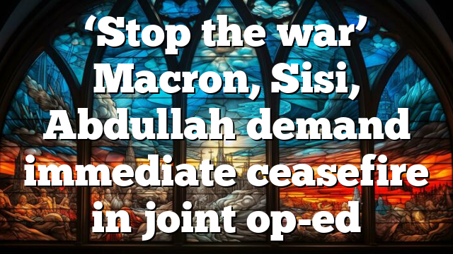 ‘Stop the war’ Macron, Sisi, Abdullah demand immediate ceasefire in joint op-ed