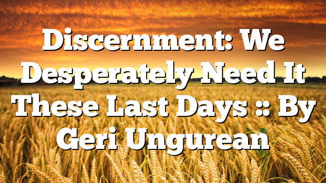 Discernment: We Desperately Need It These Last Days :: By Geri Ungurean