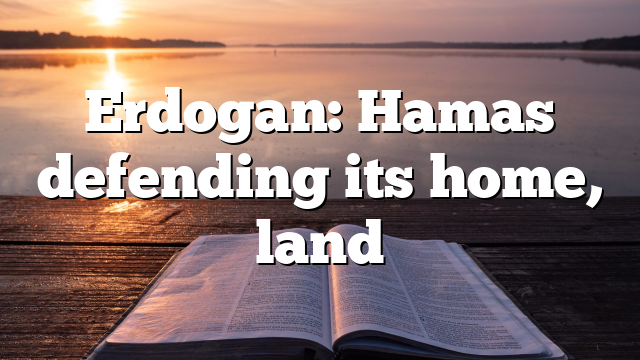 Erdogan: Hamas defending its home, land