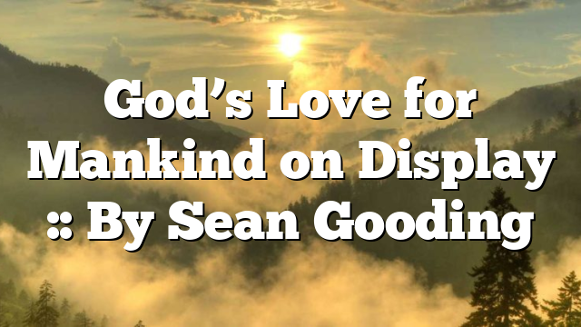 God’s Love for Mankind on Display :: By Sean Gooding