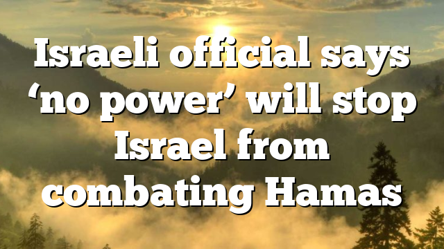 Israeli official says ‘no power’ will stop Israel from combating Hamas