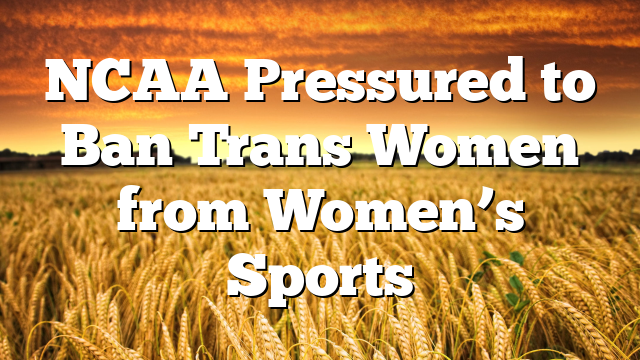 NCAA Pressured to Ban Trans Women from Women’s Sports