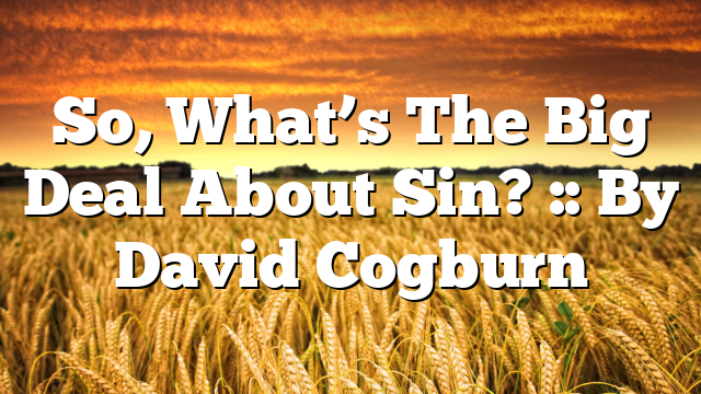 So, What’s The Big Deal About Sin? :: By David Cogburn