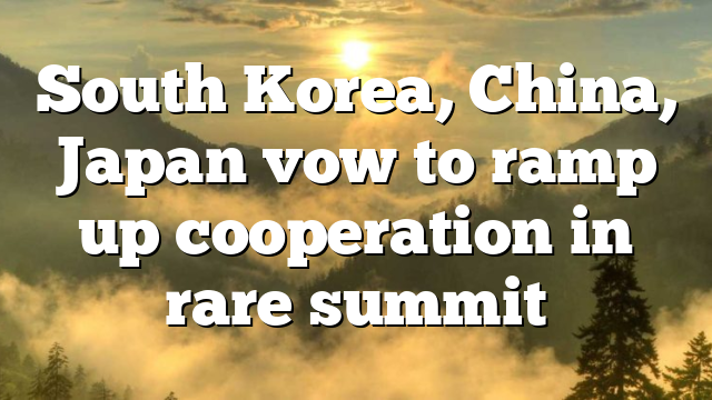 South Korea, China, Japan vow to ramp up cooperation in rare summit