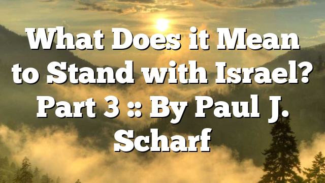 What Does it Mean to Stand with Israel? Part 3 :: By Paul J. Scharf