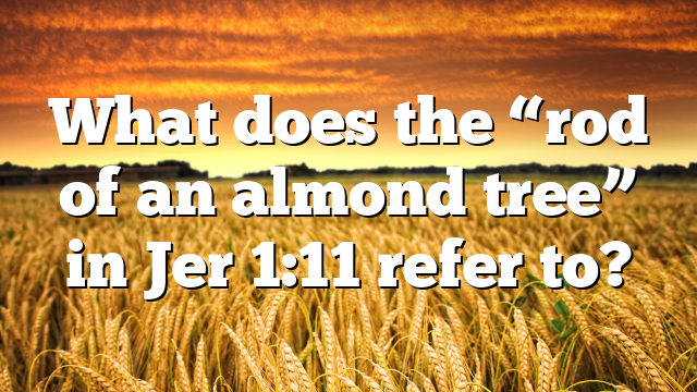 What does the “rod of an almond tree” in Jer 1:11 refer to?