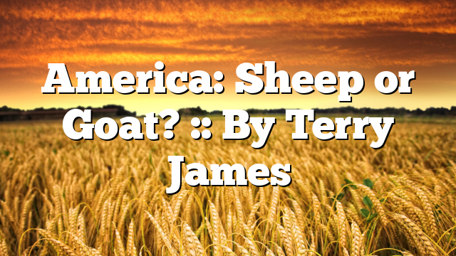 America: Sheep or Goat? :: By Terry James