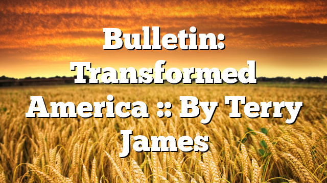 Bulletin: Transformed America :: By Terry James