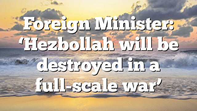 Foreign Minister: ‘Hezbollah will be destroyed in a full-scale war’