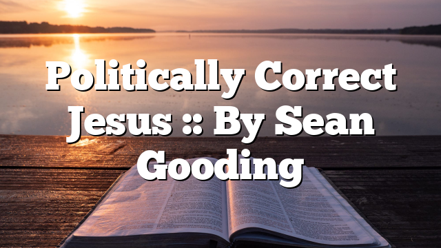 Politically Correct Jesus :: By Sean Gooding
