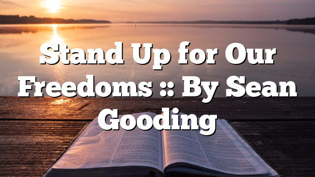 Stand Up for Our Freedoms :: By Sean Gooding