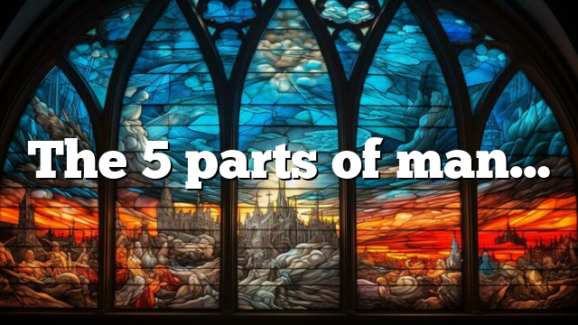 The 5 parts of man…