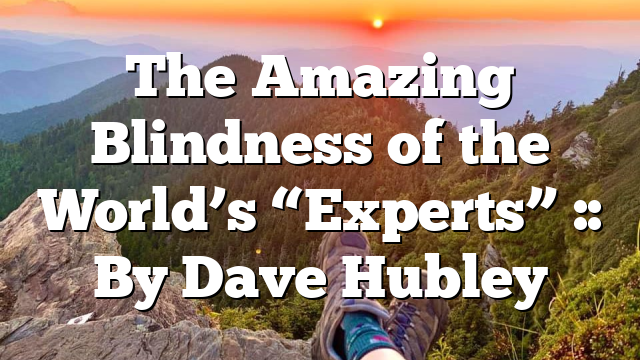 The Amazing Blindness of the World’s “Experts” :: By Dave Hubley