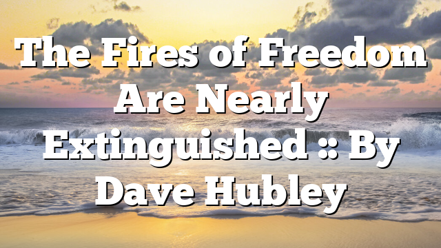 The Fires of Freedom Are Nearly Extinguished :: By Dave Hubley