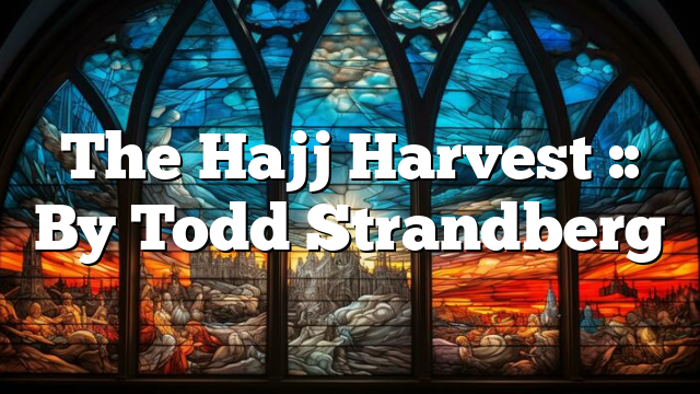 The Hajj Harvest :: By Todd Strandberg