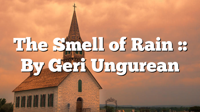 The Smell of Rain :: By Geri Ungurean