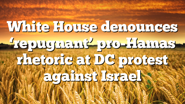White House denounces ‘repugnant’ pro-Hamas rhetoric at DC protest against Israel