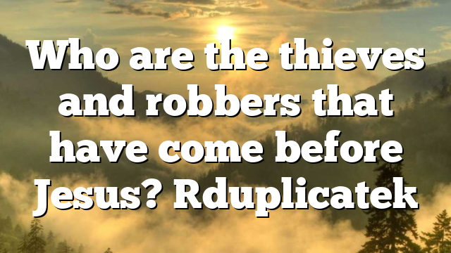 Who are the thieves and robbers that have come before Jesus? [duplicate]