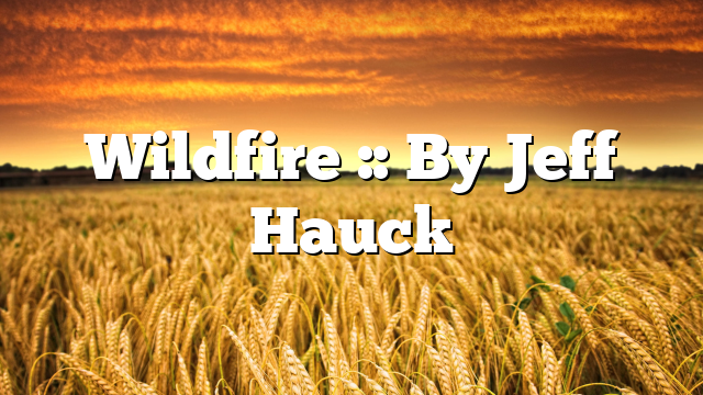 Wildfire :: By Jeff Hauck