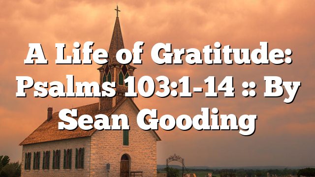 A Life of Gratitude: Psalms 103:1-14 :: By Sean Gooding