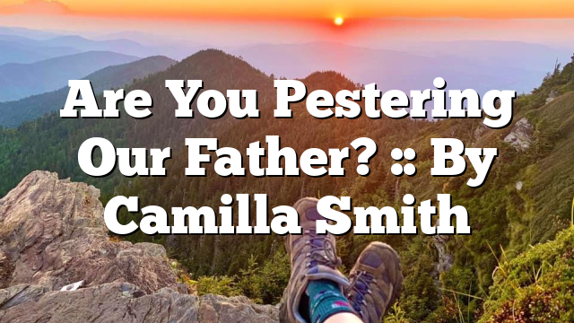 Are You Pestering Our Father? :: By Camilla Smith