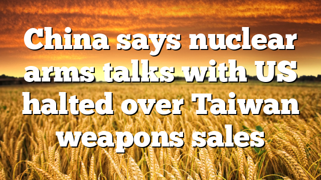 China says nuclear arms talks with US halted over Taiwan weapons sales 