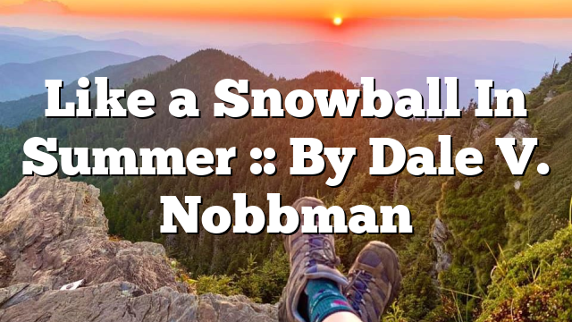 Like a Snowball In Summer :: By Dale V. Nobbman