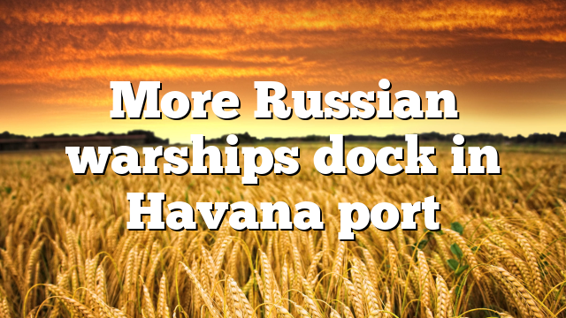 More Russian warships dock in Havana port