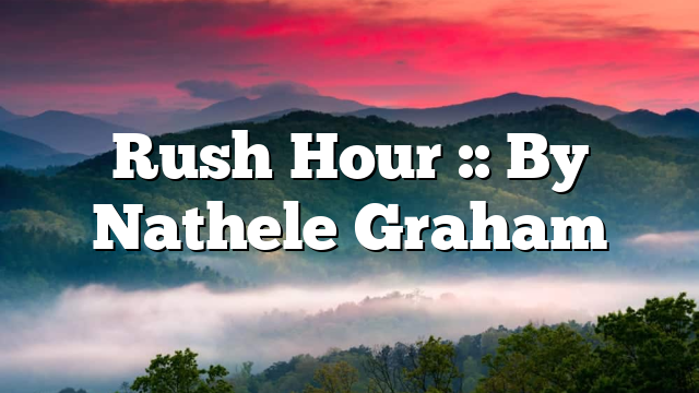 Rush Hour :: By Nathele Graham