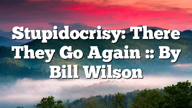 Stupidocrisy: There They Go Again :: By Bill Wilson