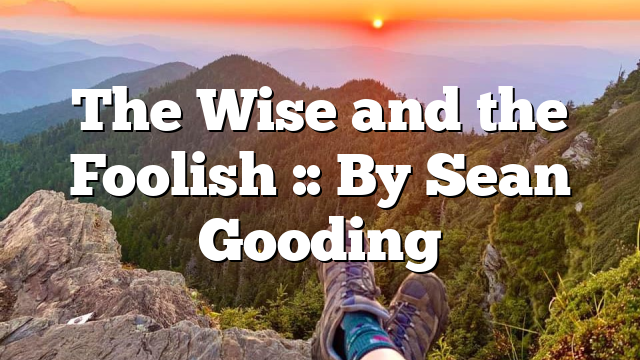 The Wise and the Foolish :: By Sean Gooding