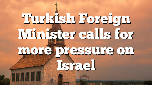 Turkish Foreign Minister calls for more pressure on Israel