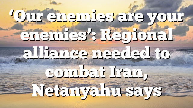‘Our enemies are your enemies’: Regional alliance needed to combat Iran, Netanyahu says