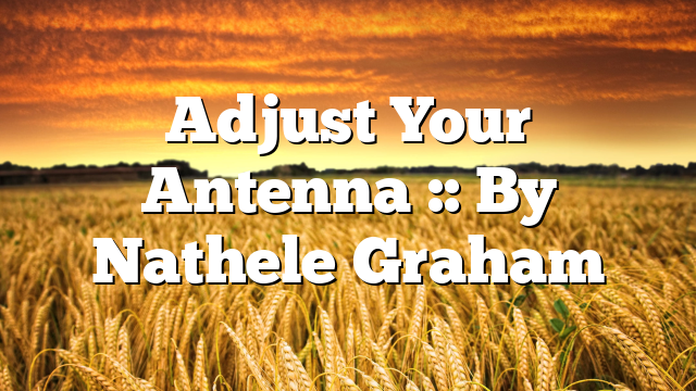 Adjust Your Antenna :: By Nathele Graham